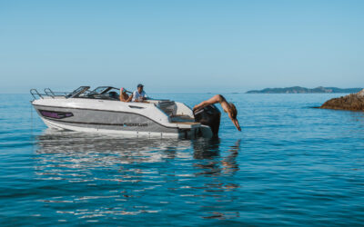 755 Cruiser – Vielseitiges Boot Modell für Komfort und Dynamik auf dem Wasser
